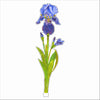 Iris | 0.25in. Acrylic Floral