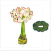 KHA-X002 White Amaryllis SM with Pine Pattern Base SM Stand | Acrylic Floral Bundle