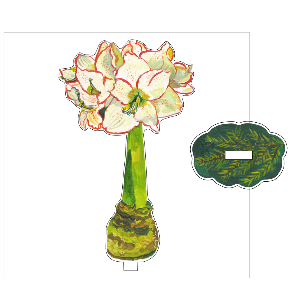 KHA-X002 White Amaryllis SM with Pine Pattern Base SM Stand | Acrylic Floral Bundle