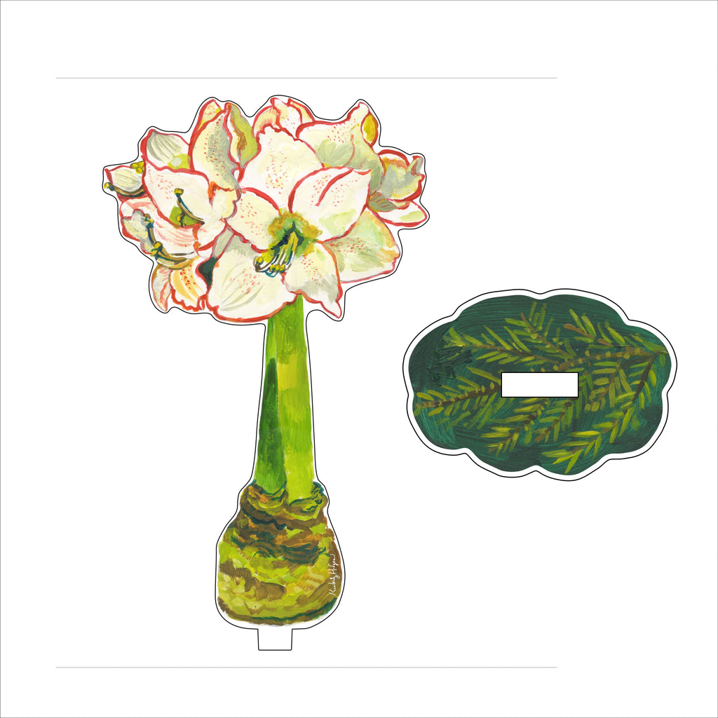 KHA-X006 White Amaryllis with Pine Pattern Base SM Stand | Acrylic Floral Bundle