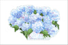 Nantucket | 0.75in. Acrylic Cutout | Case (any 10+)
