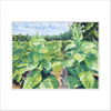 KYP-001 Pink Tops Block | 0.75Acrylic Contour |