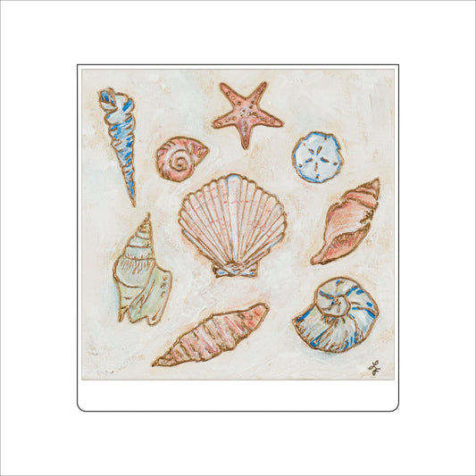LFA-026 Seashells | 0.75Acrylic Contour |