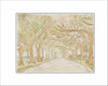 LFA-126 Tree Tunnel Block | 0.75Acrylic Contour | Case of 25