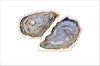 LFA-131 Oyster | 0.75Acrylic Contour |