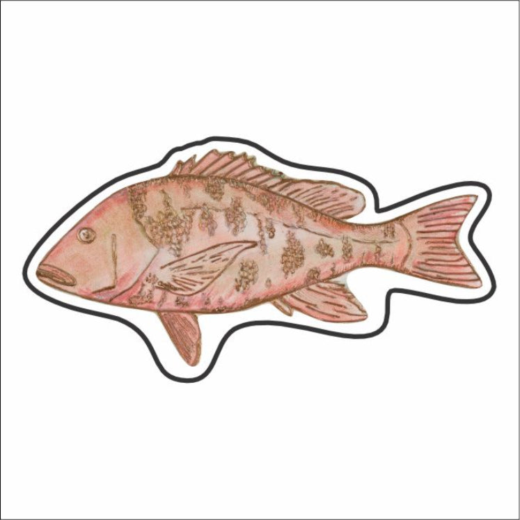 LFA-159 Snapper Fish Magnet | 0.125Acrylic Magnet |