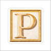 LFA-193 Letter P Magnet | 0.125Acrylic Magnet | Components