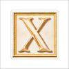 LFA-200 Letter X Magnet | 0.125Acrylic Magnet | Components