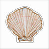 LFA-246 Seashell Mini | 0.50Acrylic Mini Contour