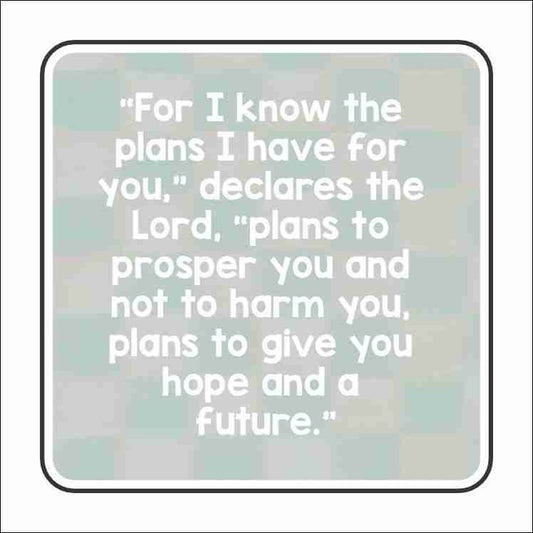 LFA-257 Jeremiah 29:11 Magnet | 0.125Acrylic Magnet