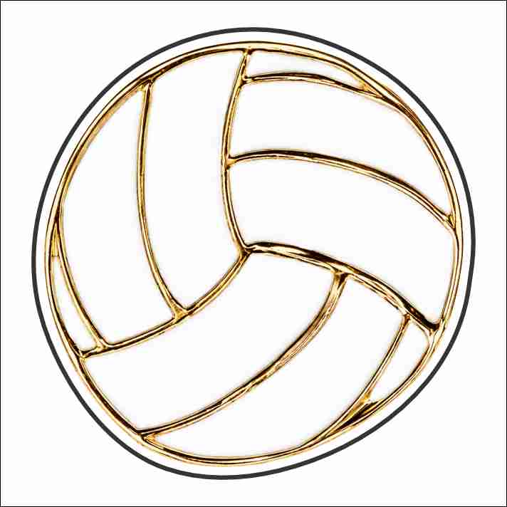 LFA-263 Volleyball Magnet | 0.125Acrylic Magnet