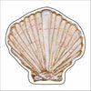 LFA-267 Seashell Coaster | 0.25Acrylic Coaster with Clear Bumpers | Set of 4
