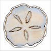 LFA-268 Sand Dollar Coaster | 0.25Acrylic Coaster with Clear Bumpers | Set of 4