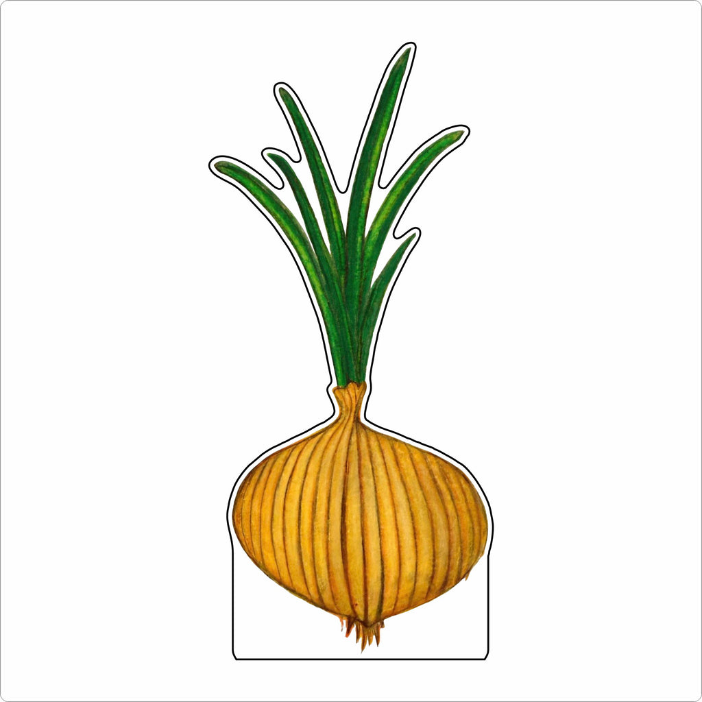 LMB-017 Sweet Onion | 0.75Acrylic Contour |