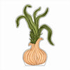 LMB-022 Peppy's Sweet Onion | 0.75Acrylic Contour