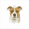 LPA-005 Cody Ornament | 0.25Acrylic Ornament
