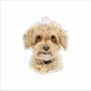 LPA-012 Goldie Ornament | 0.25Acrylic Ornament