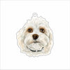 LPA-014 Oscar Ornament | 0.25Acrylic Ornament