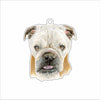 LPA-015 Bode Ornament | 0.25Acrylic Ornament