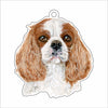 LPA-016 Sadie Ornament | 0.25Acrylic Ornament