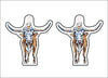 CMS-532-C10 Longhorn Earring  | 0.125Acrylic Earrings | Set of 10