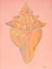 Low Tide Treasure Gallery Wrap