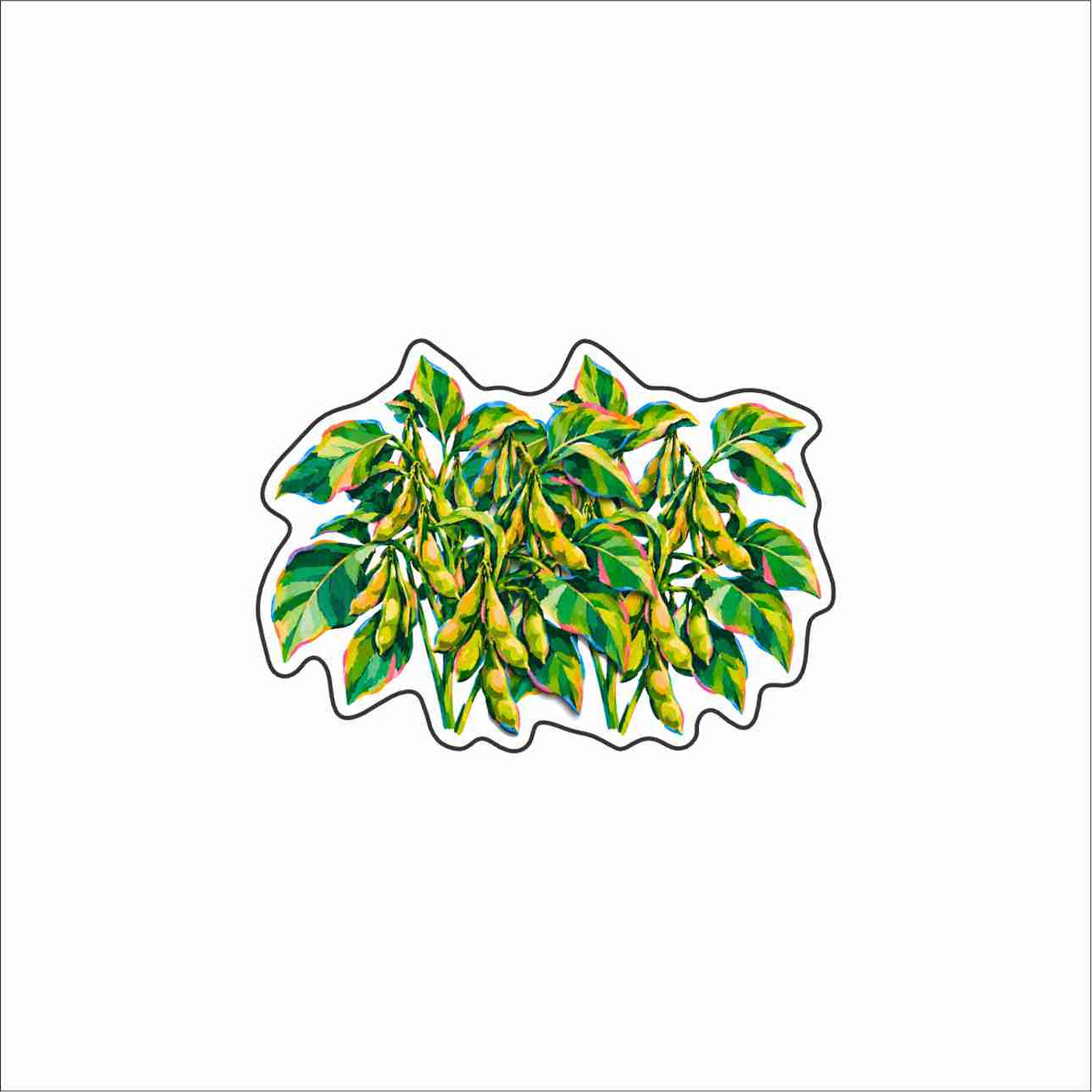 MBN-012 Beans Magnet | 0.50Acrylic Magnet | Case of 5