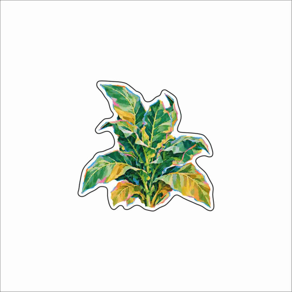 MBN-019 Tobacco Plant Magnet | 0.50Acrylic Magnet | Case of 5