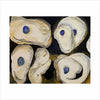 MCR-015 Black Oysters | Canvas Canvas Wrap |