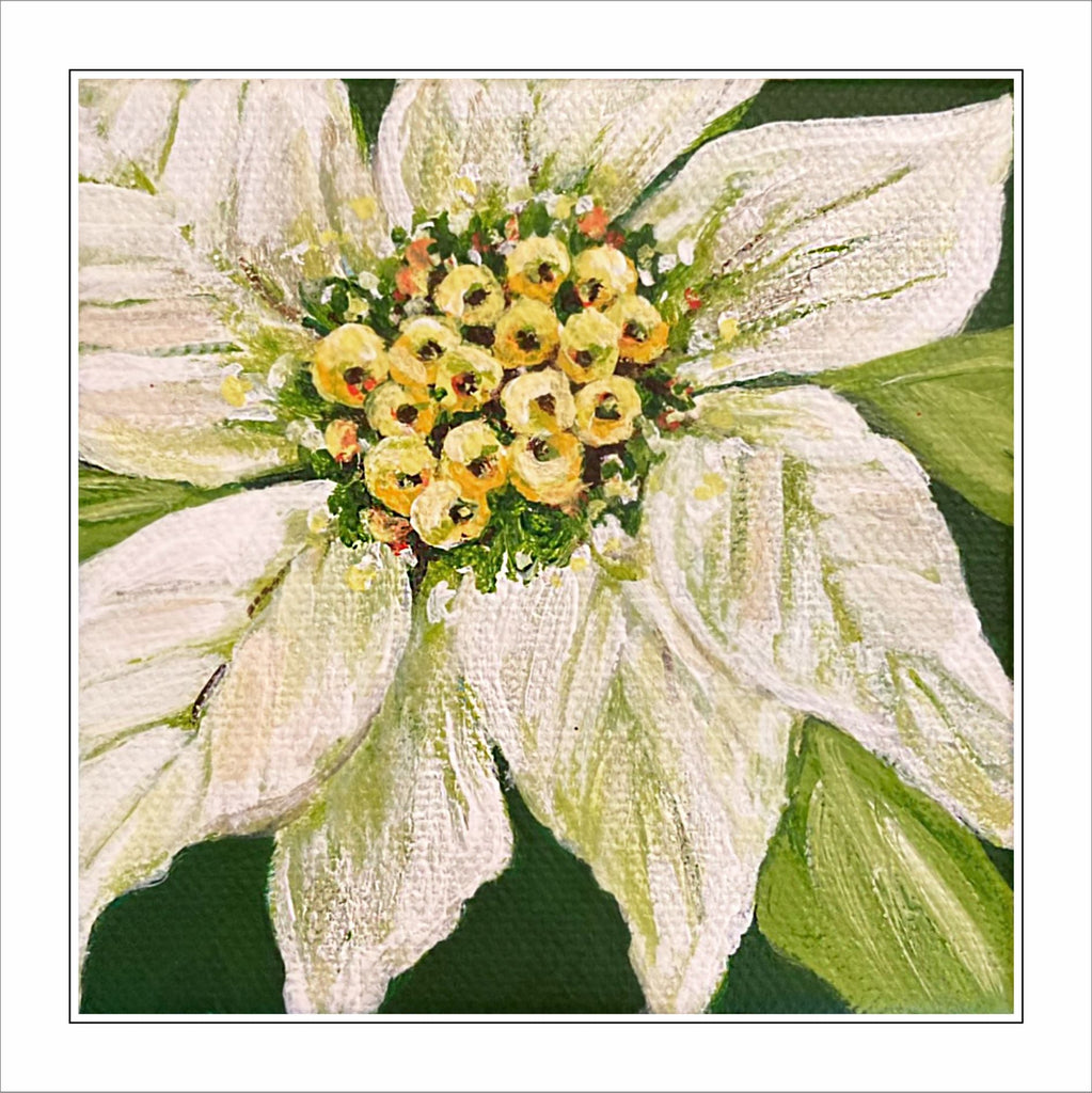 MHE-013 White Poinsettia | 0.75in. Acrylic Contour |