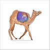 MKD-075 Nativity Camel Mini | 0.50Acrylic Contour | Case of 25