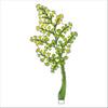 Maidenhair Fern | 0.25in. Acrylic Floral