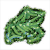 Masters Golf Course | 0.75in. Acrylic Cutout | Case Bundle any 10+ (Pack of 1)