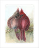 Cardinal Couple | 0.25in. Acrylic Ornament | Case Bundle any 10+ (Pack of 1)