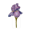 Purple Iris | 0.75in. Acrylic Cutout | Case (any 10+)