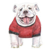 Bulldog | 0.75in. Acrylic Cutout | Case (any 10+)