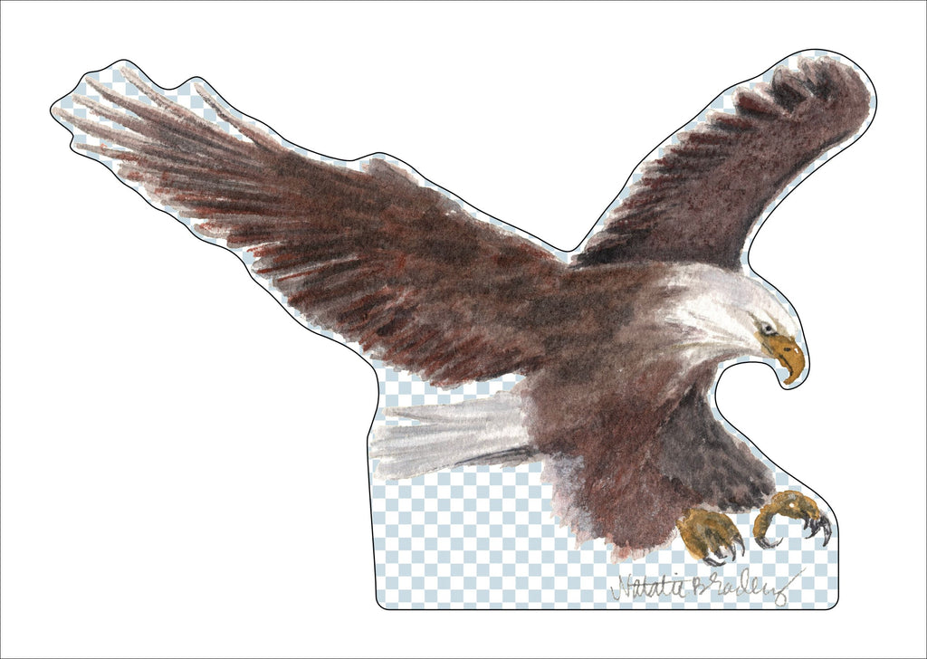 NBA-025 Eagle Contour | 0.75in. Acrylic Cutout | Case (any 10+)
