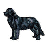 Newfoundland Black | 0.50in. Acrylic Mini | Case of 25