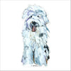 Old English Sheep Dog White | 0.75in. Acrylic Shelfie | Case of 25