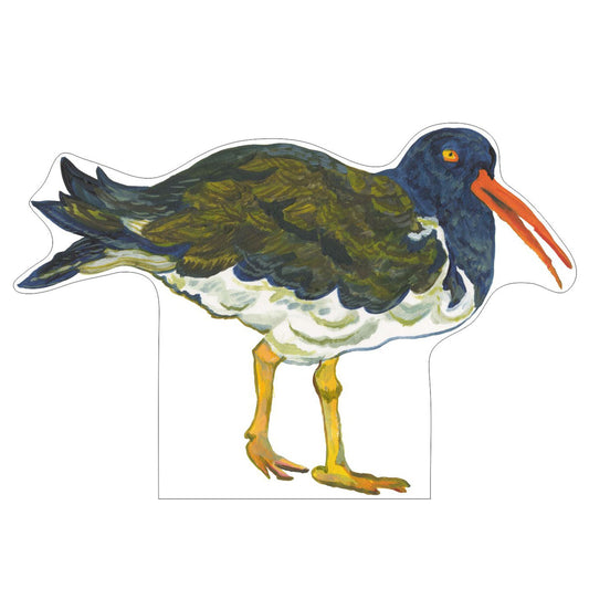 Oyster Catcher Bird Mini | 0.50in. Acrylic Mini