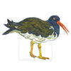 Oyster Catcher Bird Mini | 0.50in. Acrylic Cutout | Single