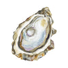 CCRT-031 Oyster Mini | 0.50" Acrylic Cutout | Case Bundle of 25