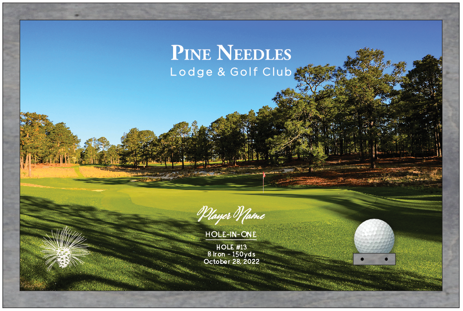 Pine Needles | Hole in One Shadowbox | Hole 13