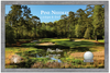 Pine Needles | Hole in One Shadowbox | Hole 3
