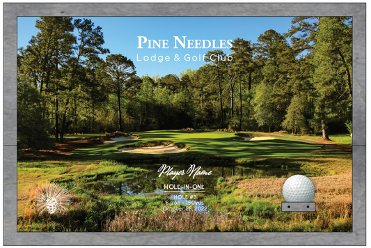 Pine Needles | Hole in One Shadowbox | Hole 3
