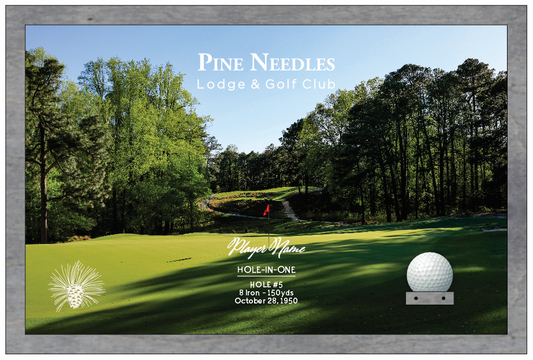 Pine Needles | Hole in One Shadowbox | Hole 5