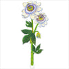 Passion Flowers | 0.25in. Acrylic Floral