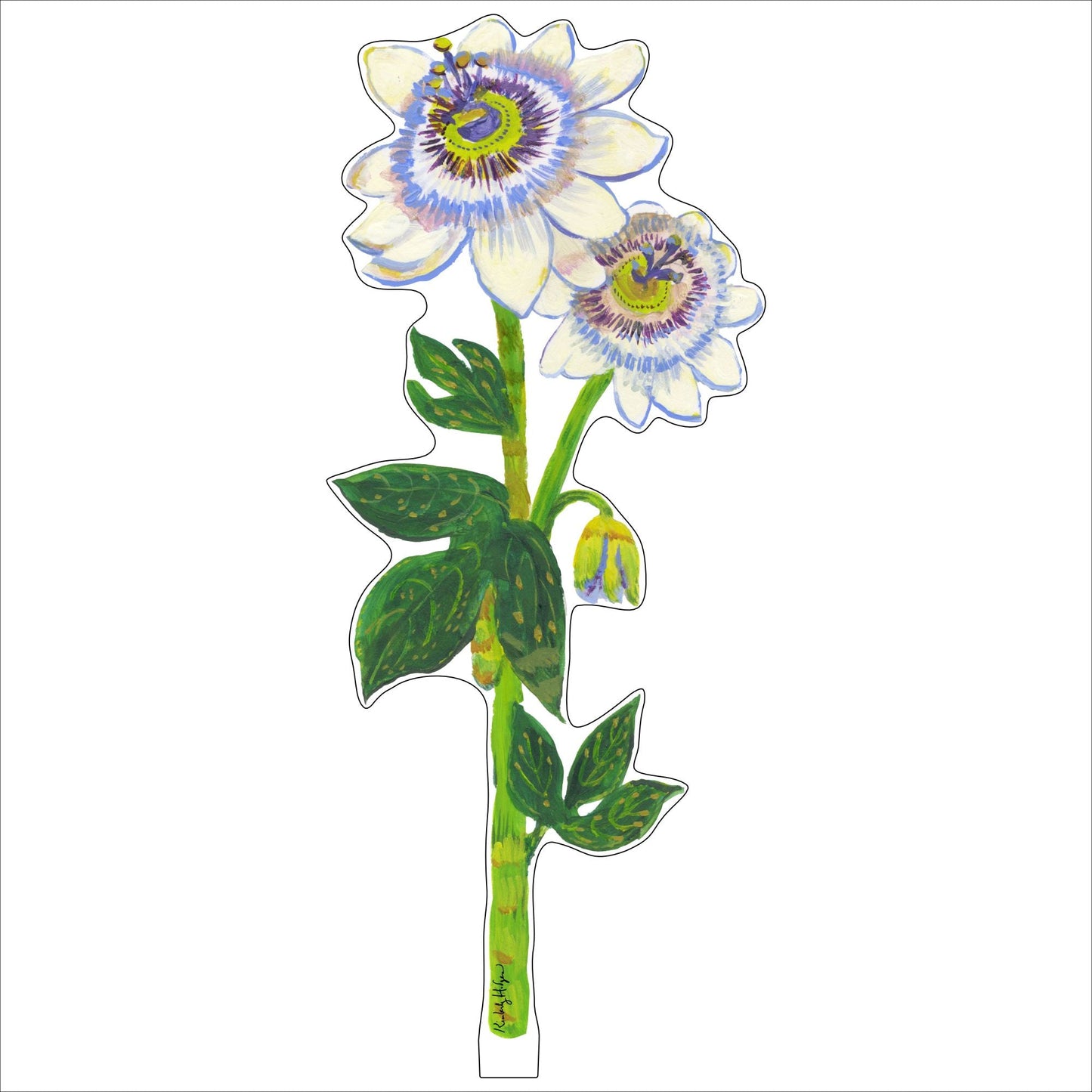 Passion Flowers | 0.25in. Acrylic Floral