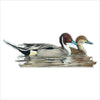 RLC-004 Pintail Ducks | 0.75in. Acrylic Cutout | Case (any 10+)