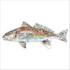 Redfish Light Blue | 0.50in. Acrylic Mini | Case of 25